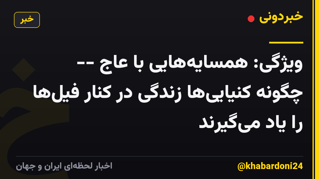 ویژگی: همسایه‌هایی با عاج -- چگونه کنیایی‌ها زندگی در کنار فیل‌ها را یاد می‌گیرند