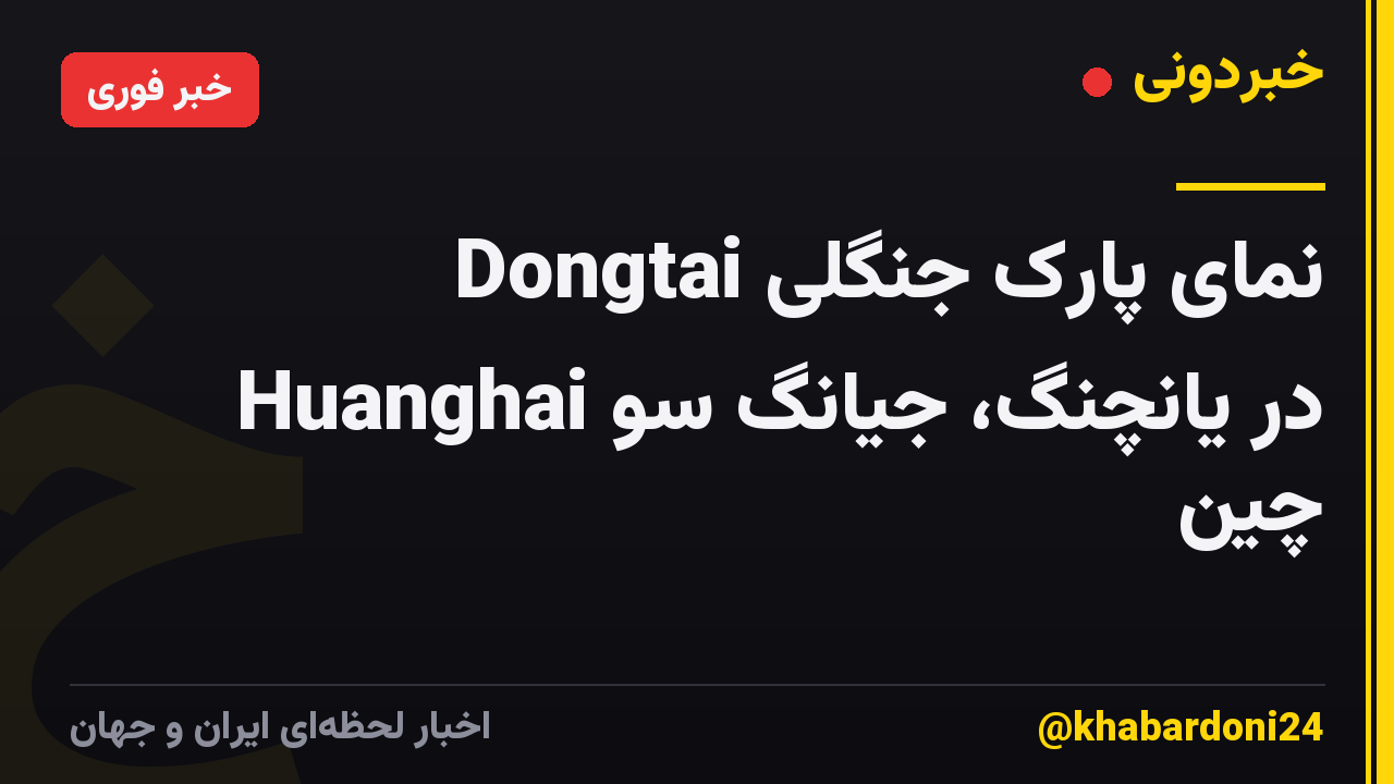 نمای پارک جنگلی Dongtai Huanghai در یانچنگ، جیانگ سو چین