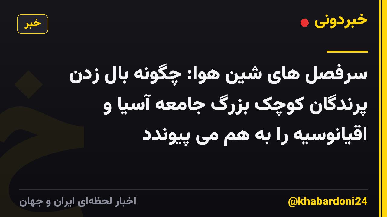 سرفصل های شین هوا: چگونه بال زدن پرندگان کوچک بزرگ جامعه آسیا و اقیانوسیه را به هم می پیوندد