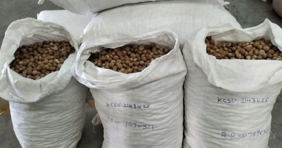 DRI تقلب در واردات مهرههای 2500 روپیهای را کشف میکند. 9 برگزار شد