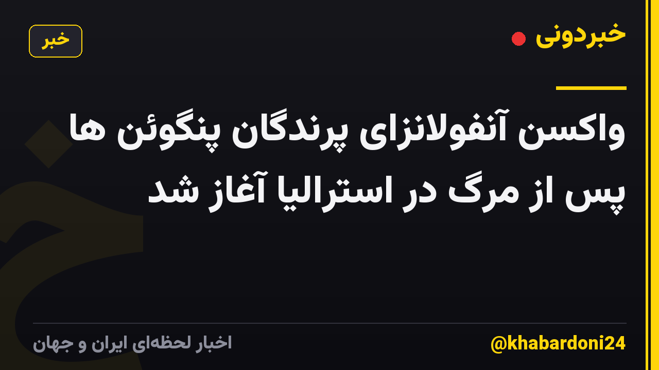 واکسن آنفولانزای پرندگان پنگوئن ها پس از مرگ در استرالیا آغاز شد