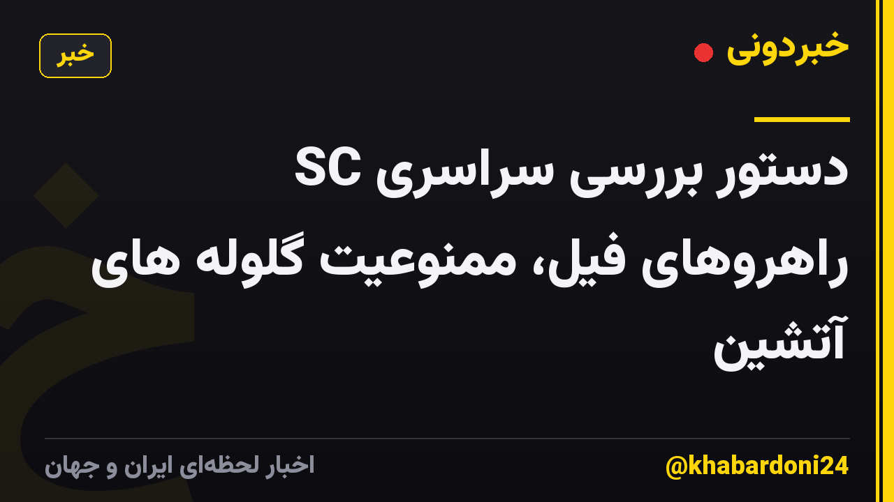 SC دستور بررسی سراسری راهروهای فیل، ممنوعیت گلوله های آتشین