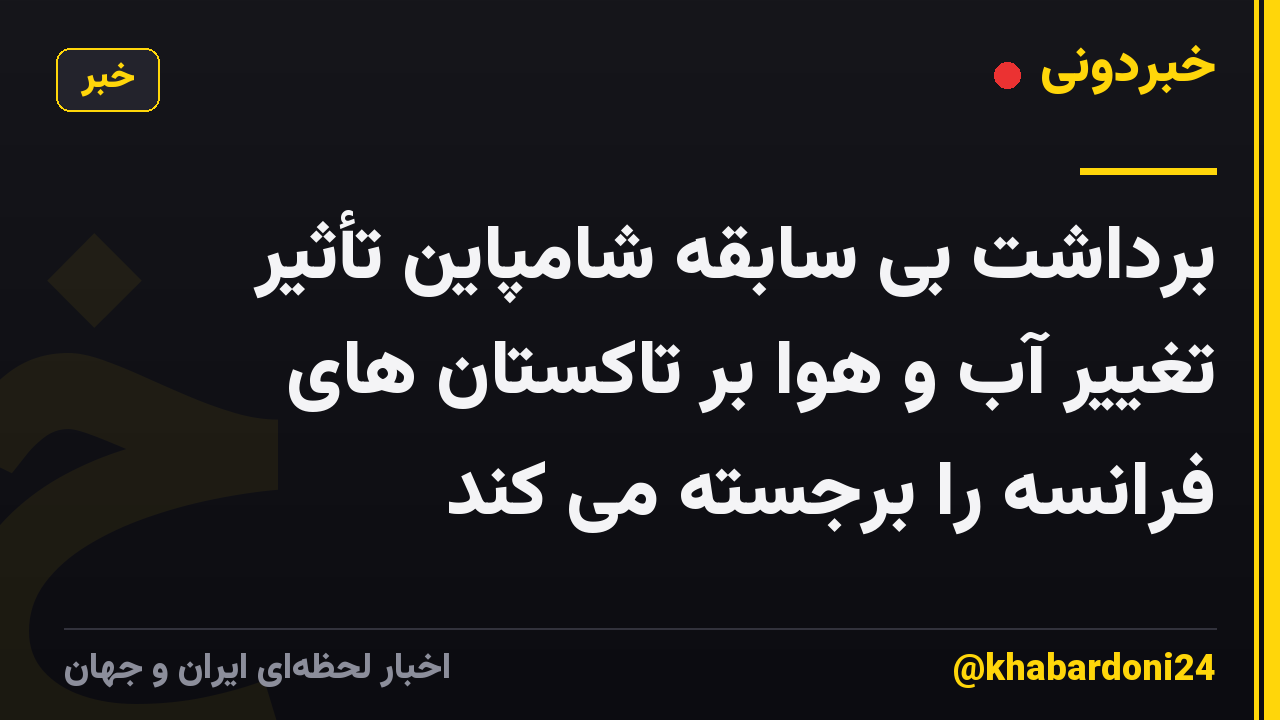 برداشت بی سابقه شامپاین تأثیر تغییر آب و هوا بر تاکستان های فرانسه را برجسته می کند