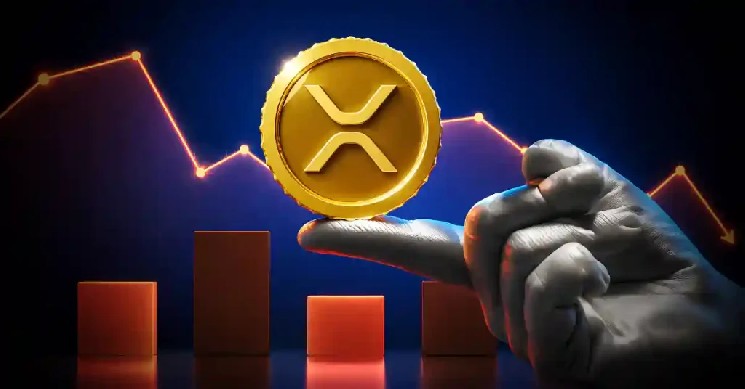 ریپل نیوز: چرا کیف پول راکوتن شرط بندی می کند XRP مشکل سرعت کریپتو را حل می کند