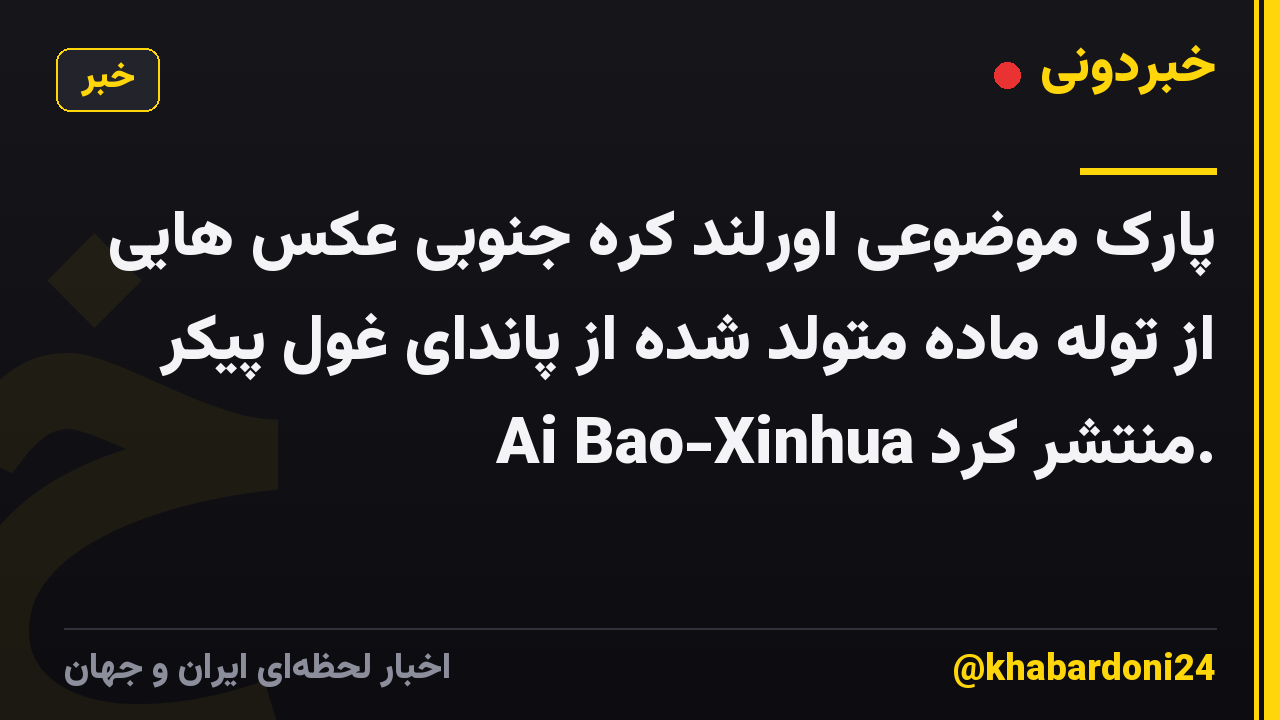 پارک موضوعی اورلند کره جنوبی عکس هایی از توله ماده متولد شده از پاندای غول پیکر Ai Bao-Xinhua منتشر کرد.