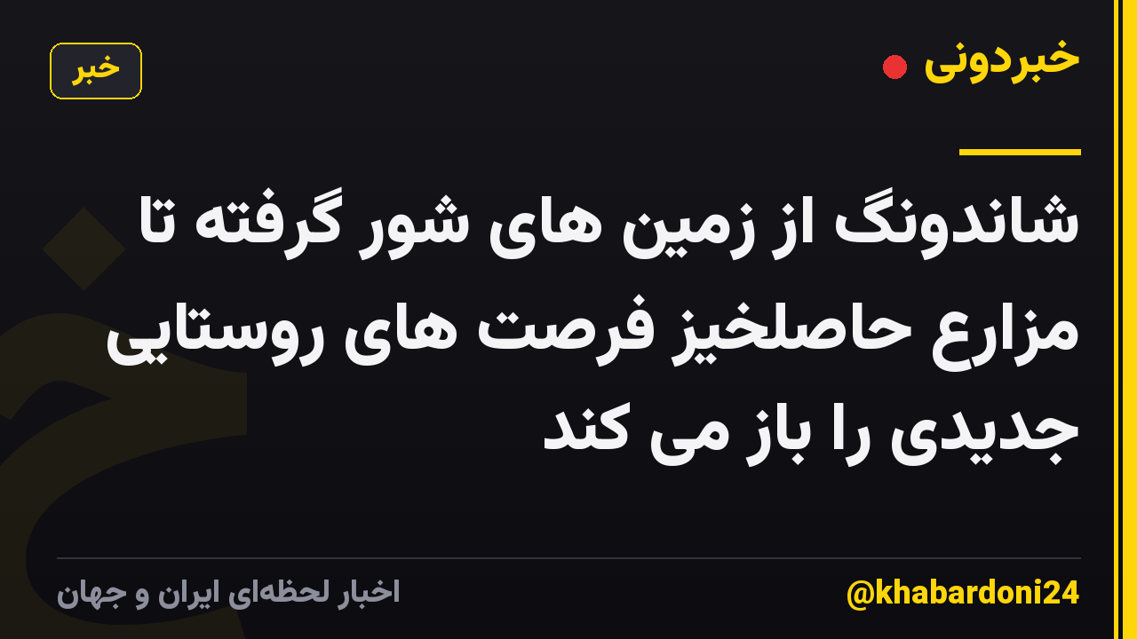 شاندونگ از زمین های شور گرفته تا مزارع حاصلخیز فرصت های روستایی جدیدی را باز می کند