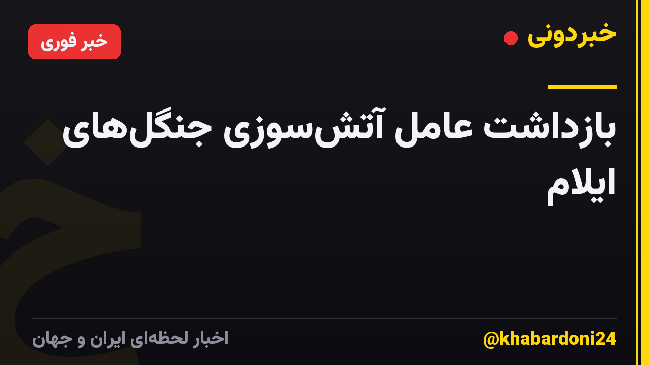 بازداشت عامل آتش‌سوزی جنگل‌های ایلام