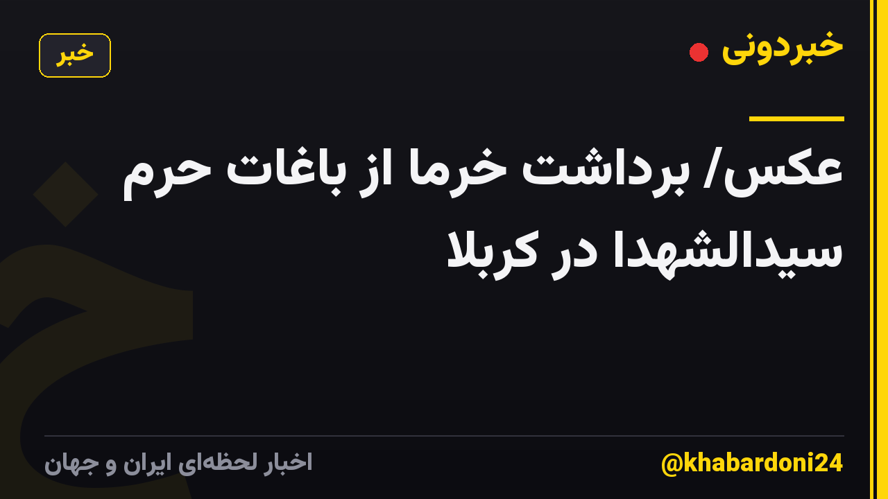 عکس/ برداشت خرما از باغات حرم سیدالشهدا در کربلا