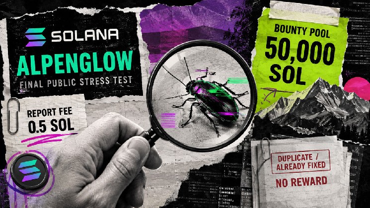 شکار حشرات Alpenglow Solana از محققان 0.5 SOL هزینه می کند تا نقص ها را گزارش کنند