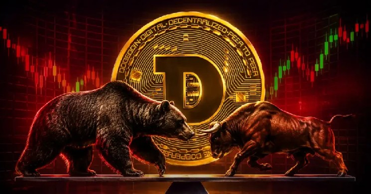 بیت کوین گاوها در مقابل خرس ها: چرا بیت کوین با وجود ریزش های عظیم نهادی تثبیت می شود؟