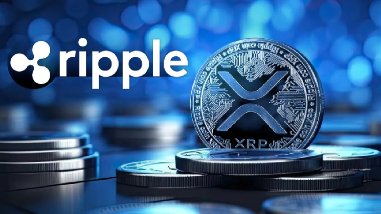 دو دستور کار در Ripple: "IPO and Clarity Act!" اظهارات مهم مدیرعامل ریپل و CLO!