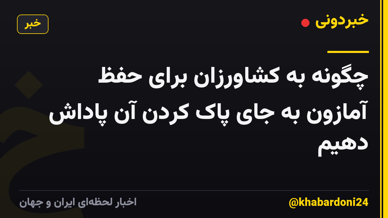 چگونه به کشاورزان برای حفظ آمازون به جای پاک کردن آن پاداش دهیم
