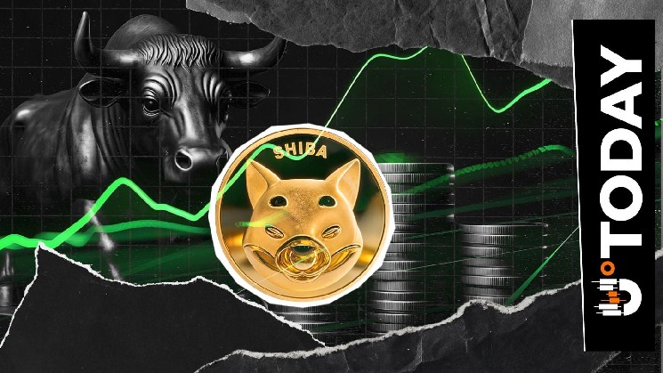 Shiba Inu با وجود نوسان طولانی مدت، افزایش 26.4 درصدی در آدرس‌های فعال دارد