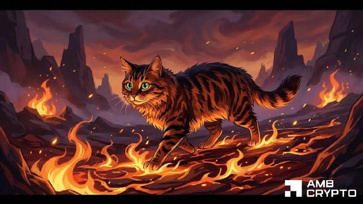 Cash Cat 15٪ کاهش می یابد - آیا پشتیبانی 0.087 دلاری memecoin می تواند زنده بماند؟