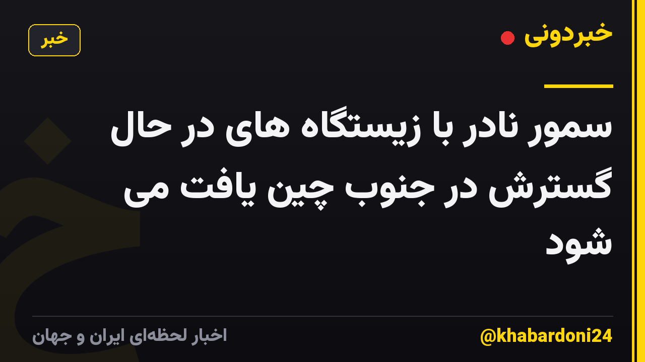 سمور نادر با زیستگاه های در حال گسترش در جنوب چین یافت می شود