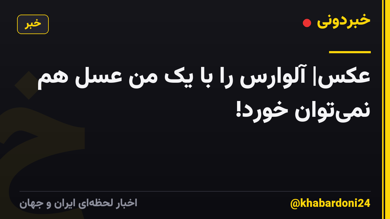 عکس| آلوارس را با یک مَن عسل هم نمیتوان خورد!