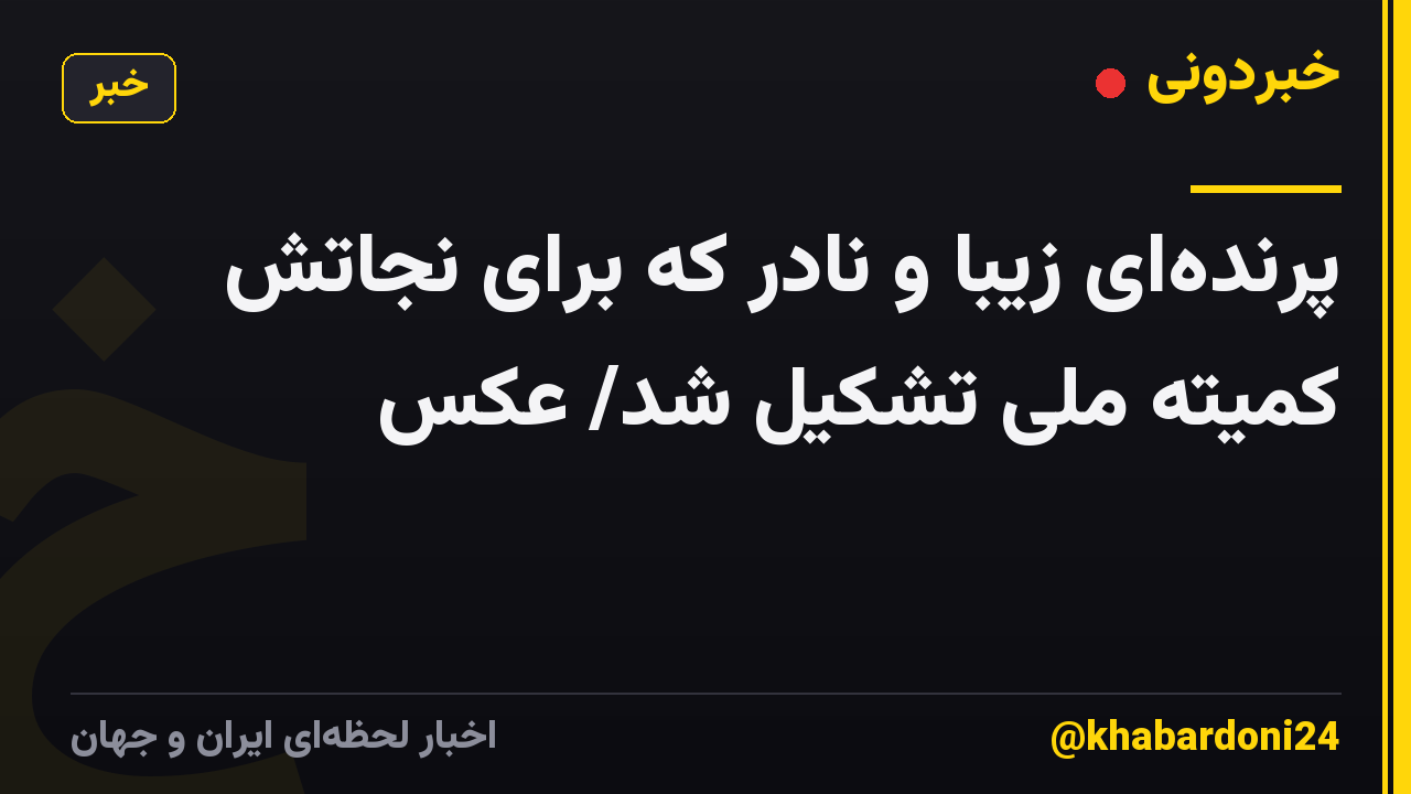 پرندهای زیبا و نادر که برای نجاتش کمیته ملی تشکیل شد/ عکس