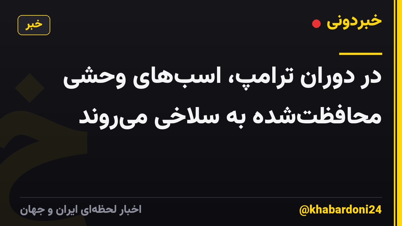 در دوران ترامپ، اسب‌های وحشی محافظت‌شده به سلاخی می‌روند
