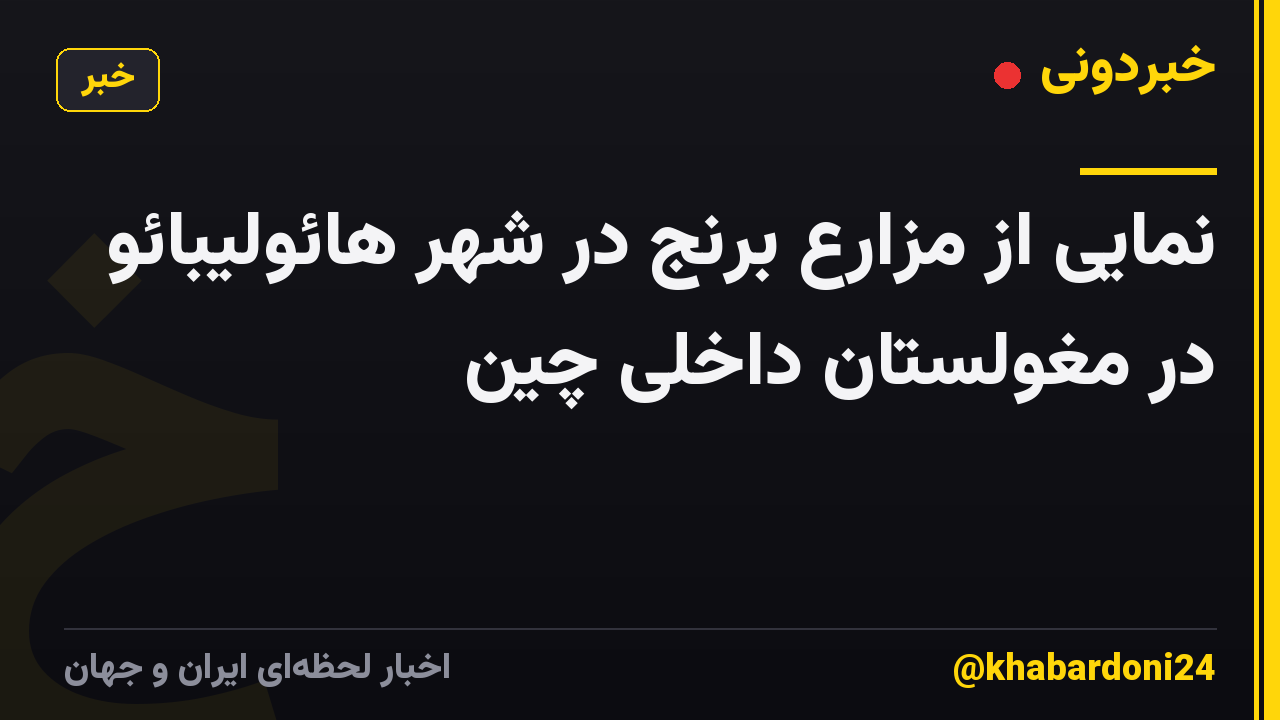 نمایی از مزارع برنج در شهر هائولیبائو در مغولستان داخلی چین