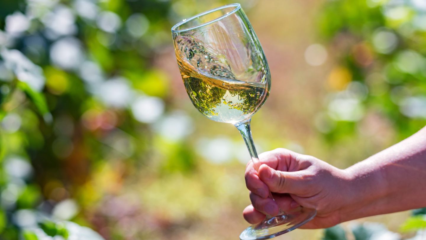 Dynasty Fine Wines هشدار سود دیگری صادر می کند