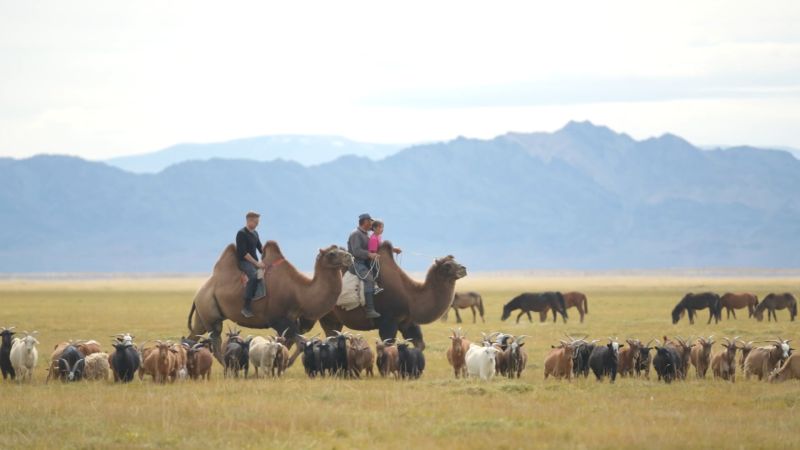 مناظر خیره کننده و سنت های قدیمی در مغولستان فراوان است