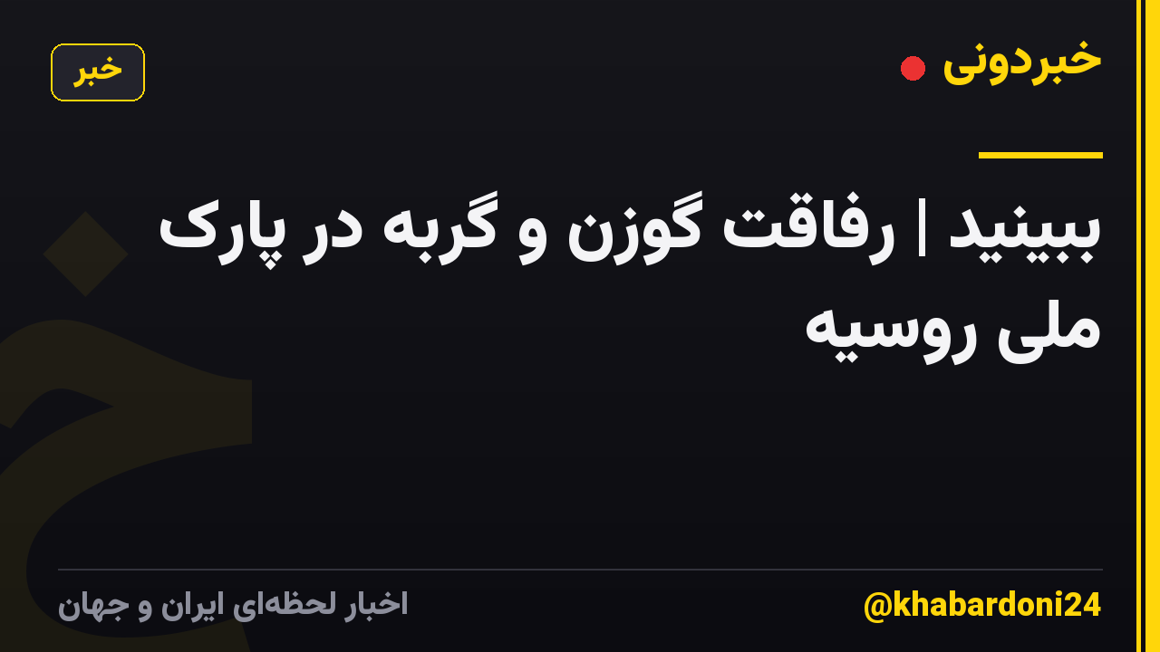 ببینید | رفاقت گوزن و گربه در پارک ملی روسیه