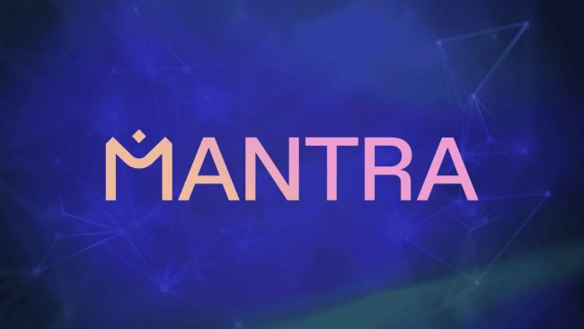 MANTRA تمام تراکنش ها و شبکه را به دنبال یک حادثه نامشخص مسدود می کند