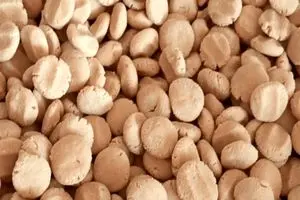 مزه‌ای که از دل زاگرس به یادگار مانده است