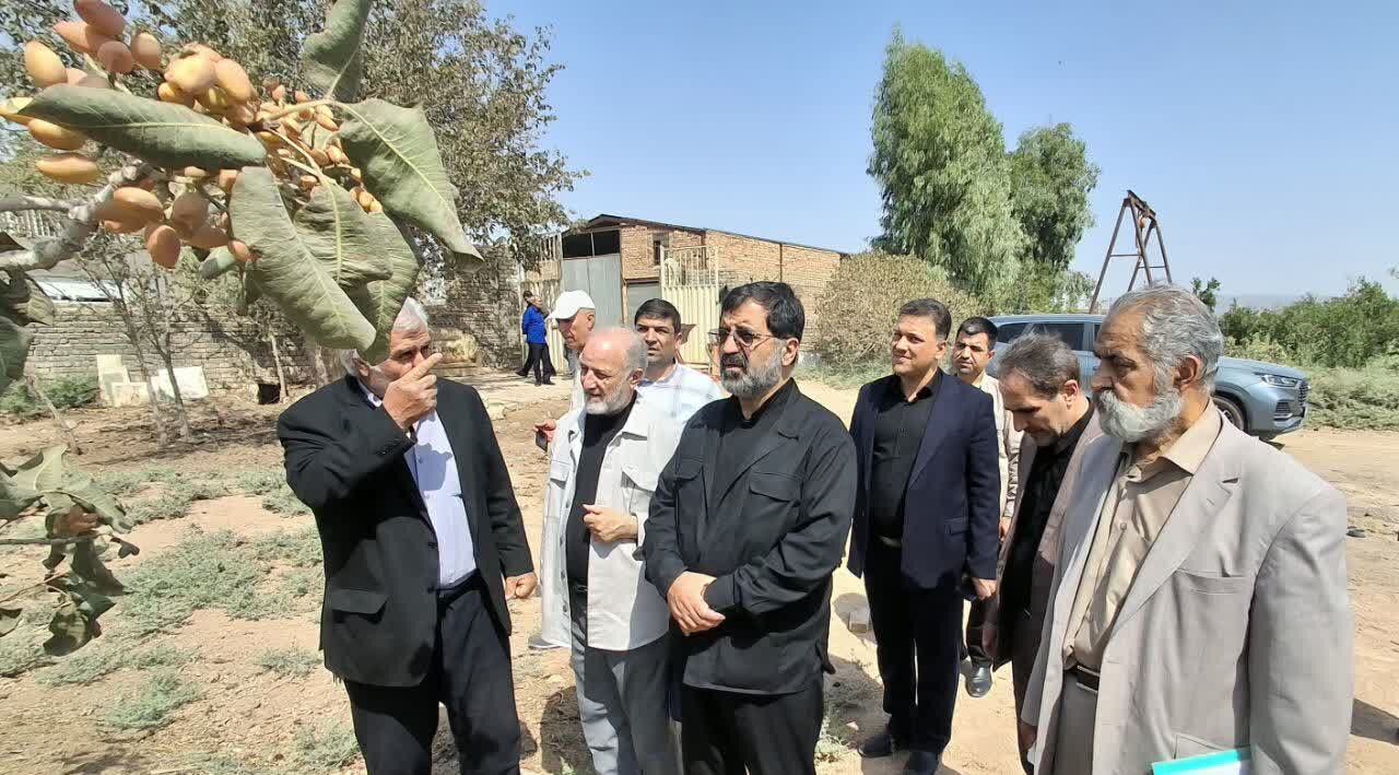استاندار قم: اجرای الگوی کشت باید با حمایت از کشاورزان همراه باشد