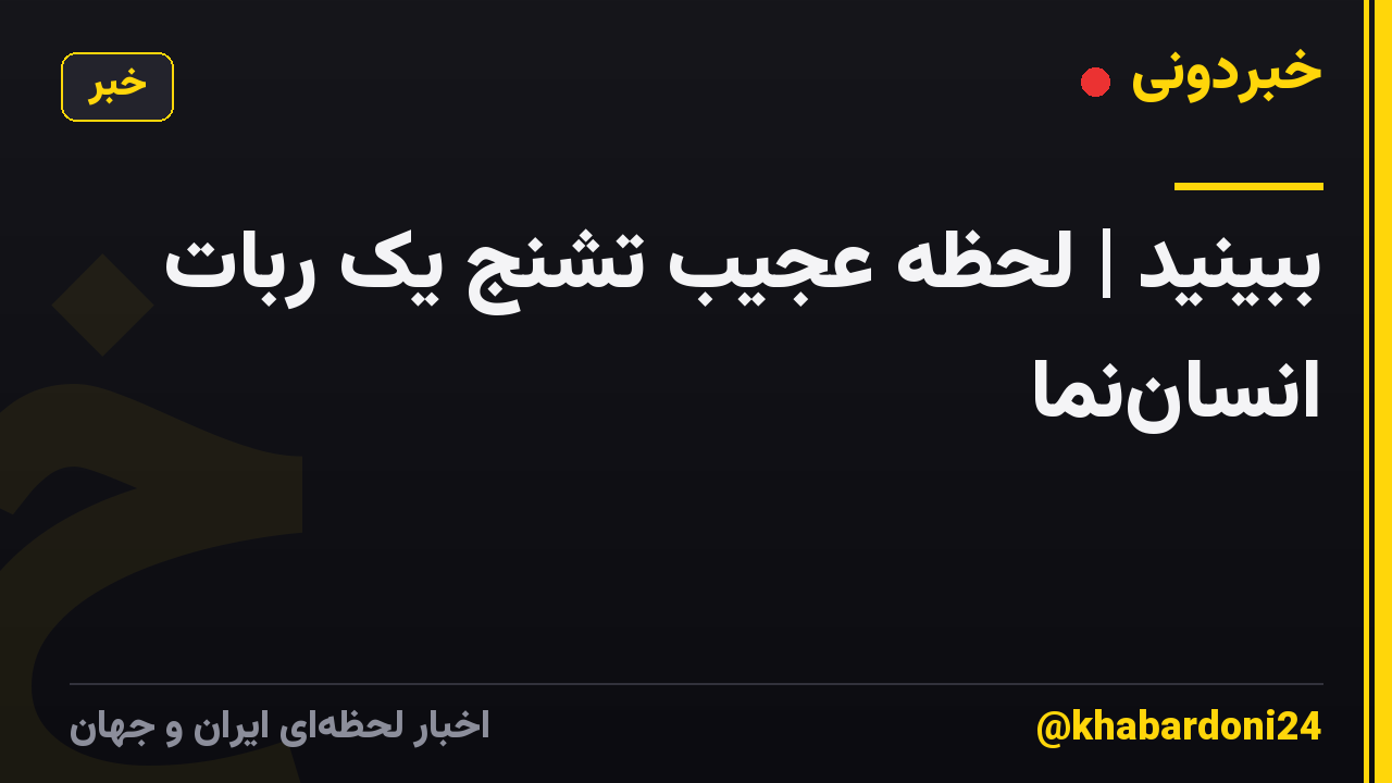 ببینید | لحظه عجیب تشنج یک ربات انساننما