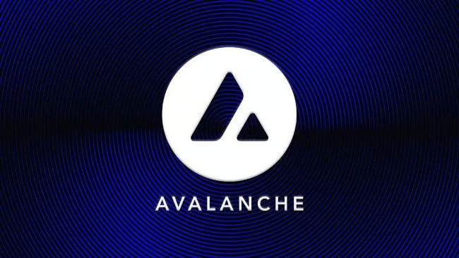 Avalanche's Nahas: قیمت توکن کاهش یافته است، اما "من هرگز فرصت های بیشتری ندیده ام" در کریپتو