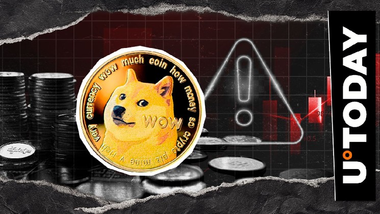 تله گاو نر بالقوه؟ هشدار دهنده Dogecoin در مورد افزایش بازار کریپتو