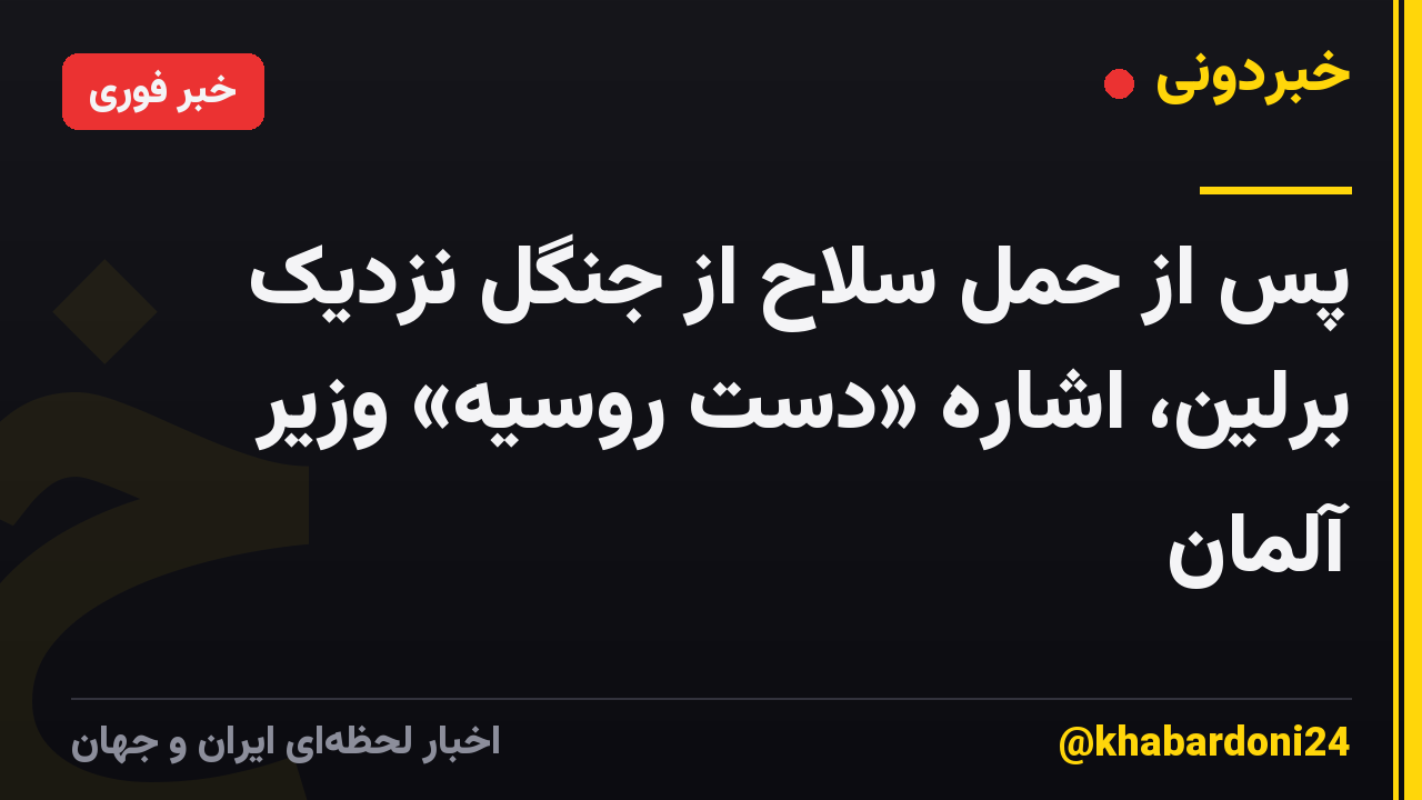 پس از حمل سلاح از جنگل نزدیک برلین، اشاره «دست روسیه» وزیر آلمان