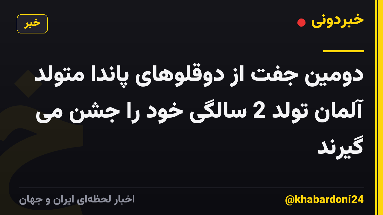 دومین جفت از دوقلوهای پاندا متولد آلمان تولد 2 سالگی خود را جشن می گیرند
