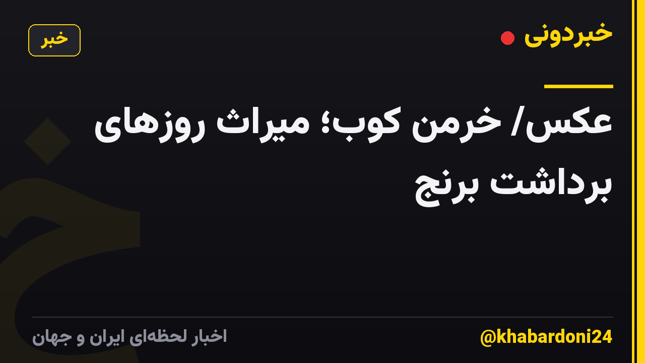 عکس/ خرمن کوب؛ میراث روزهای برداشت برنج