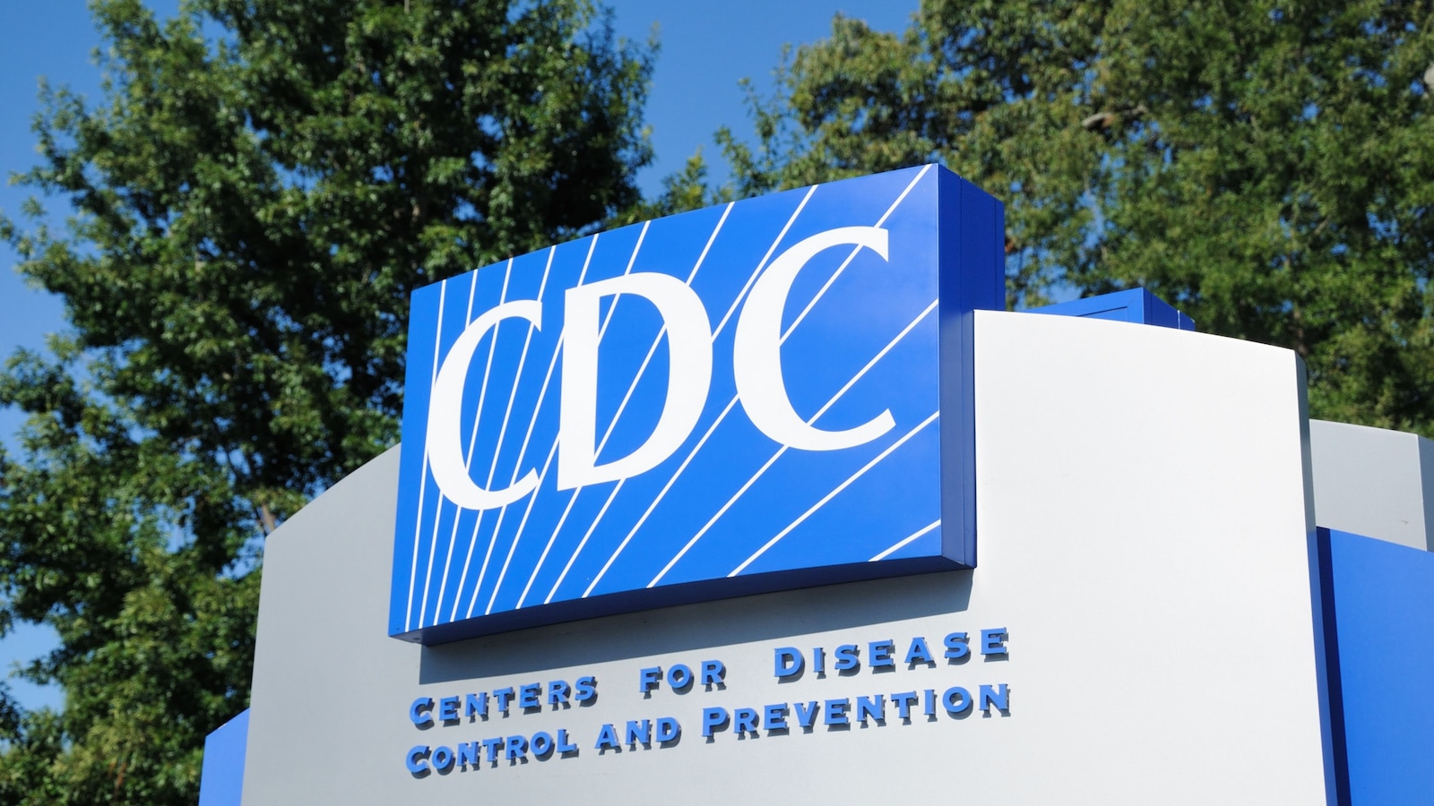 حداقل 55 نفر مبتلا به سالمونلا، شیوع E. coli مرتبط با جوانه یونجه - اخبار ABC - آخرین اخبار، آخرین اخبار و ویدئوها