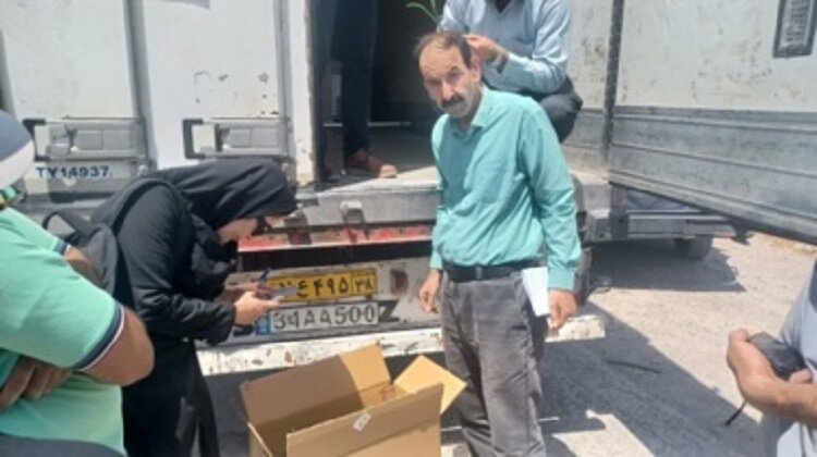صادرات نهال کشتبافتی خرما از مرز مهران به عراق