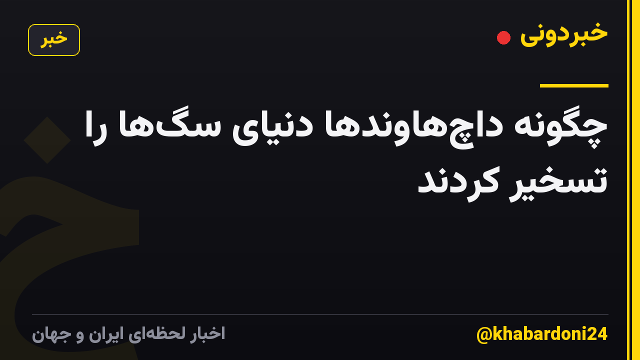 چگونه داچ‌هاوندها دنیای سگ‌ها را تسخیر کردند
