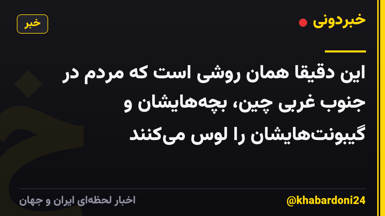 این دقیقاً همان روشی است که مردم در جنوب غربی چین، بچههایشان و گیبونتهایشان را لوس میکنند