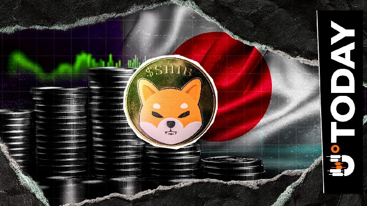وضعیت ژاپنی SHIB با فهرست صرافی با پشتوانه Nomura تقویت می شود