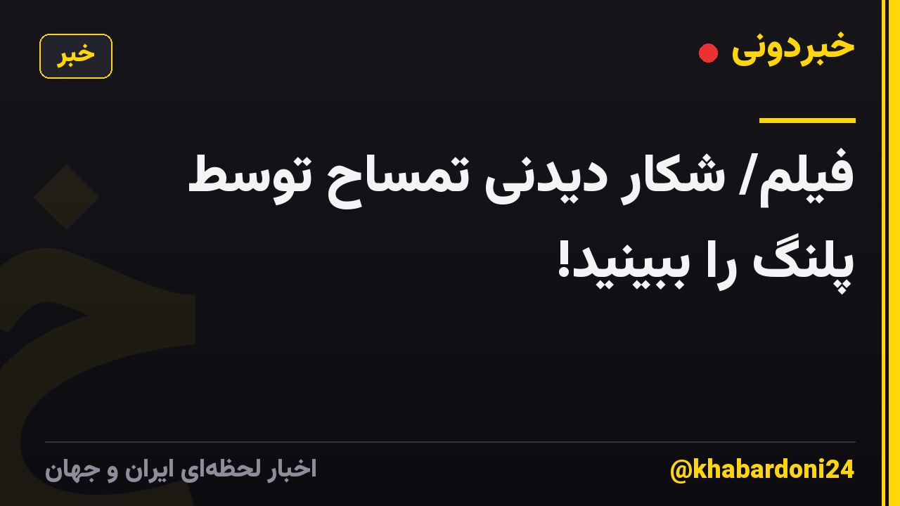 فیلم/ شکار دیدنی تمساح توسط پلنگ را ببینید!
