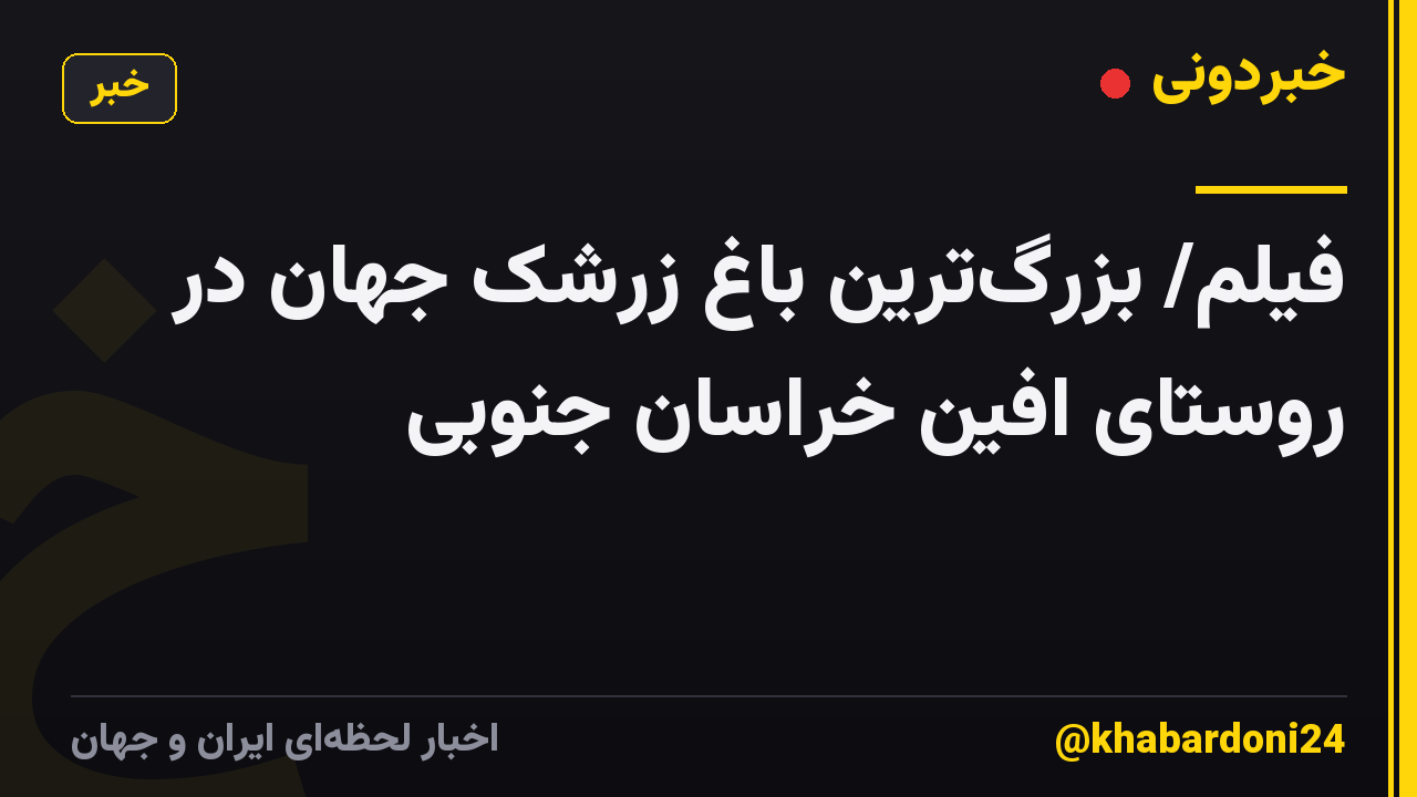 فیلم/ بزرگترین باغ زرشک جهان در روستای افین خراسان جنوبی