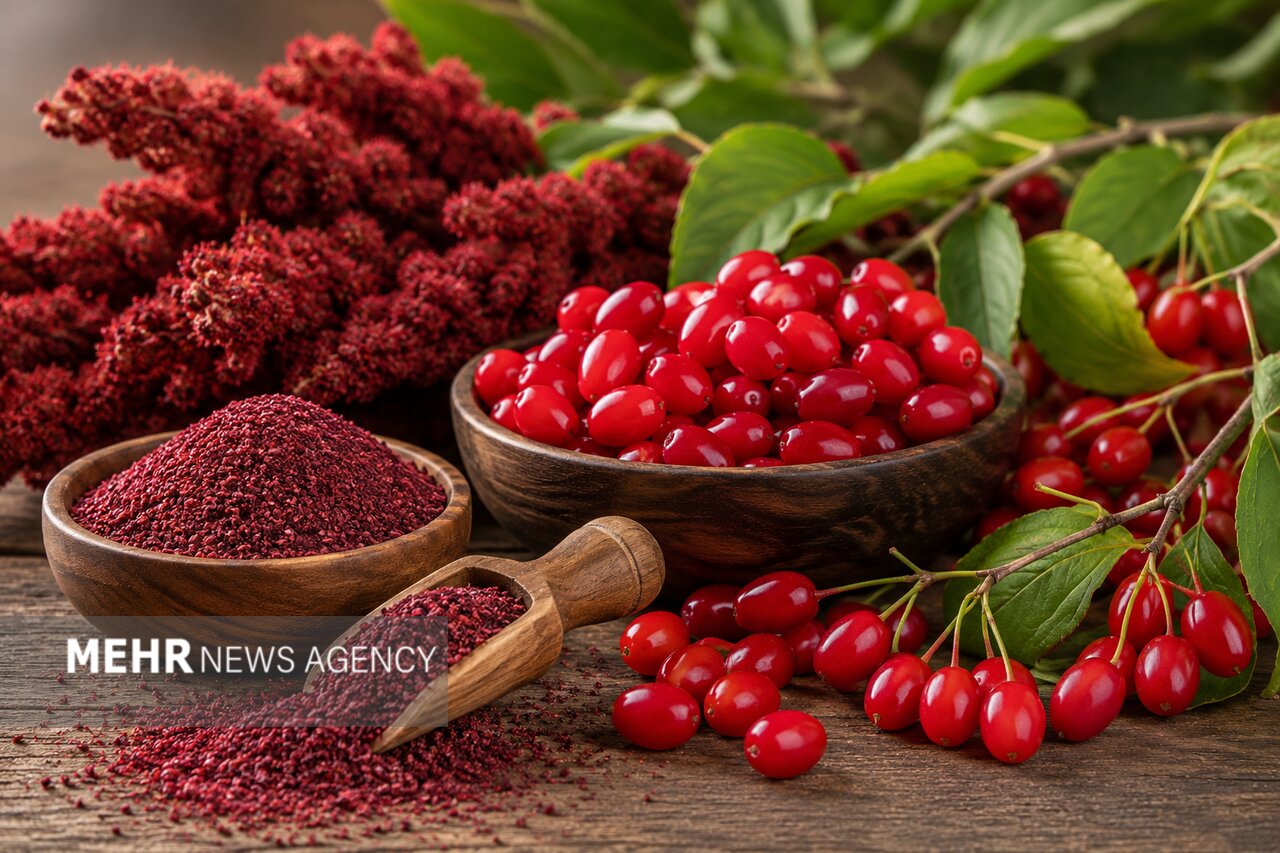 سماق و زغال‌اخته قره‌داغ در انتظار عبور از خام‌فروشی و واسطه‌گری