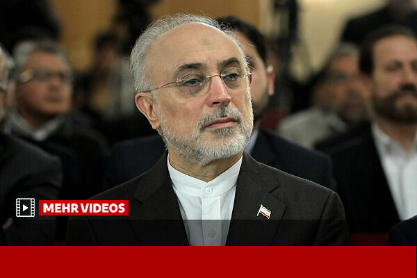 صالحی: یکی از ماموریتهای جایزه مصطفی کشف دانشمندان جهان اسلام است