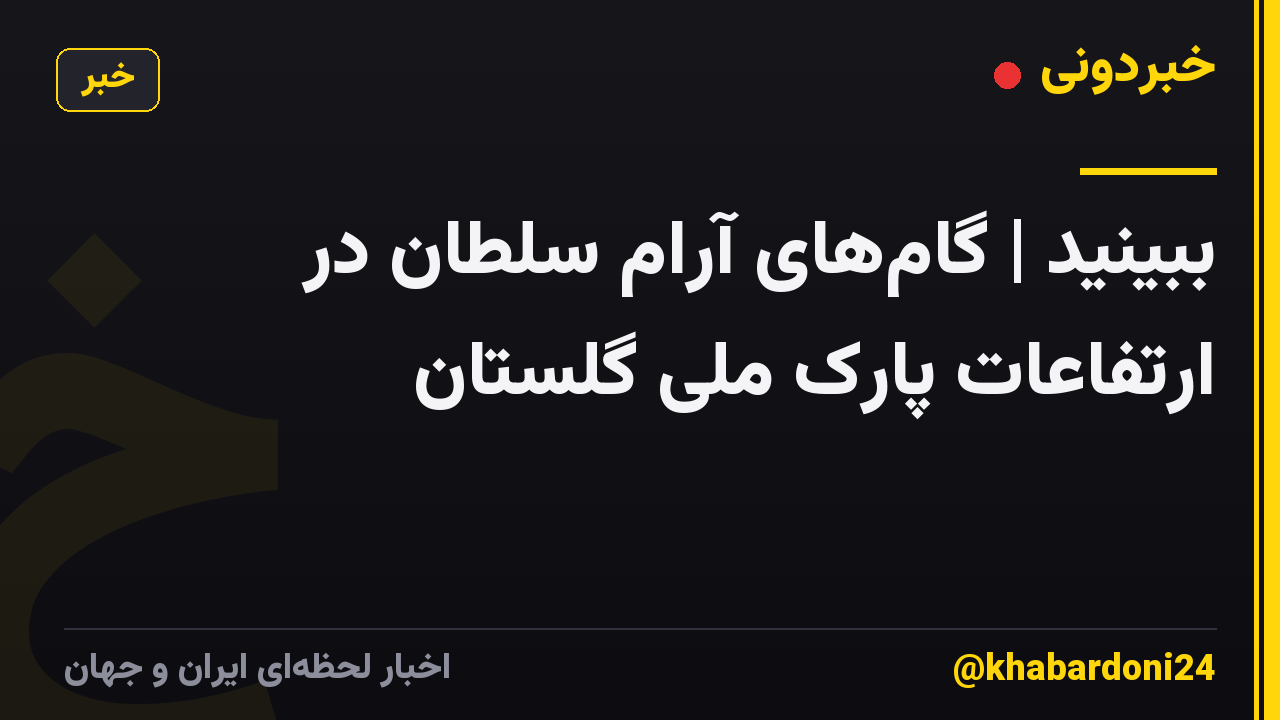 ببینید | گام‌های آرام سلطان در ارتفاعات پارک ملی گلستان