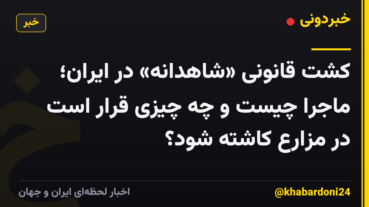 کشت قانونی «شاهدانه» در ایران؛ ماجرا چیست و چه چیزی قرار است در مزارع کاشته شود؟