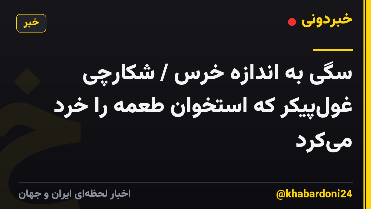 سگی به اندازه خرس / شکارچی غولپیکر که استخوان طعمه را خُرد میکرد