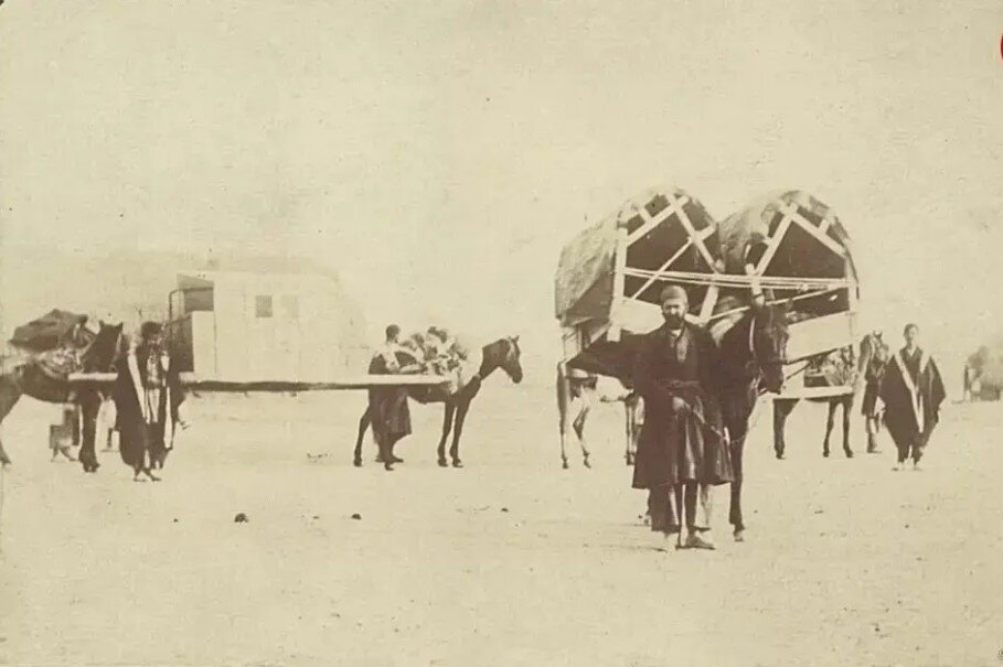 وسیله سفر لوکس در تهران قدیم را ببینید