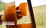 بهترین شرایط نگهداری عسل با موم در خانه