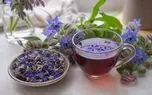 چرا گل‌گاوزبان حریف اضطراب‌های ما نمی‌شود